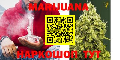 трава Сланцы