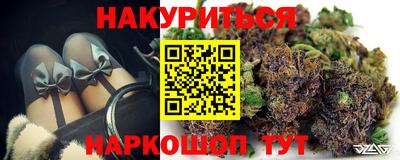 трава Сланцы